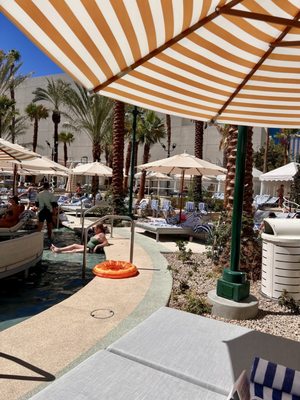 Flamingo Pool at Flamingo Las Vegas by null Flamingo Pool at Flamingo Las Vegas by null