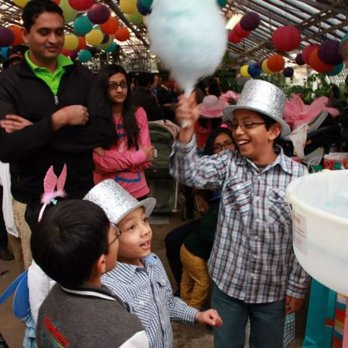 The Party Sitters - Cotton candy - Kids Activities Near Me The Party Sitters - Cotton candy - Kids Activities Near Me