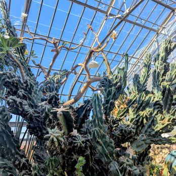 Anna Scripps Whitcomb Conservatory - Botanical Gardens Near Me - Detroit, Michigan Anna Scripps Whitcomb Conservatory - Botanical Gardens Near Me - Detroit, Michigan