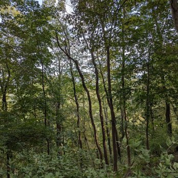Fran Reese Audubon Sanctuary - Parks Near Me - Wappingers Falls, New York Fran Reese Audubon Sanctuary - Parks Near Me - Wappingers Falls, New York