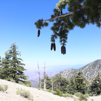 Mount Baldy - Hiking Near Me - Mt Baldy, California Mount Baldy - Hiking Near Me - Mt Baldy, California