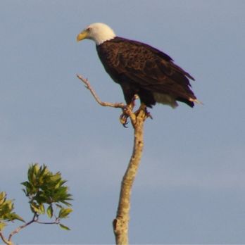 Tommy B Boating - Boat Tours Near Me - Crystal River, Florida Tommy B Boating - Boat Tours Near Me - Crystal River, Florida