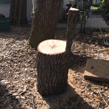 Kevin's Tree Service - Tree Services Near Me - Oviedo, Florida Kevin's Tree Service - Tree Services Near Me - Oviedo, Florida