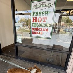Took my seniorita bread (my dog) to get some seniorita bread hehe