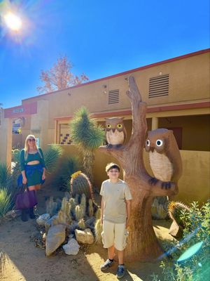 Hi-Desert Nature Museum by null