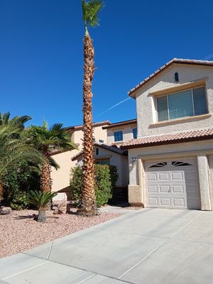 Express Landscapes on Yelp