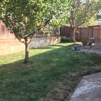 Get it Done yard cleanups - Landscaping Near Me Get it Done yard cleanups - Landscaping Near Me