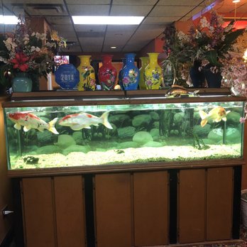 China Chef - Fish tank - Chinese Near Me - Morton Grove, Illinois