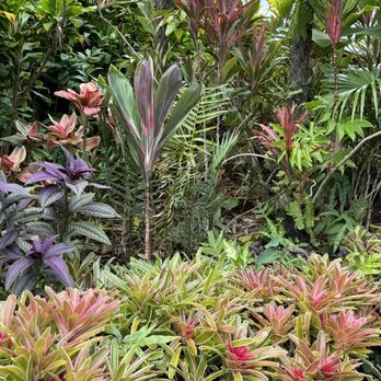 Hana Farms - Attraction Farms Near Me - Hana, Hawaii