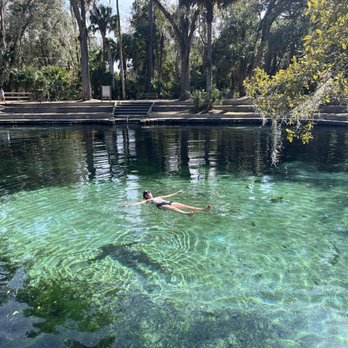 Juniper Springs Recreation Area - Pool - Parks Near Me - Silver Springs, Florida Juniper Springs Recreation Area - Pool - Parks Near Me - Silver Springs, Florida