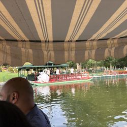 Swan Boats of Boston