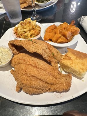 Frederick's Wine and Dine by null