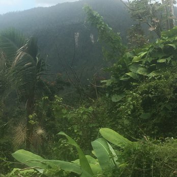 El Yunque Rainforest - Hiking Near Me - Luquillo, Puerto Rico El Yunque Rainforest - Hiking Near Me - Luquillo, Puerto Rico