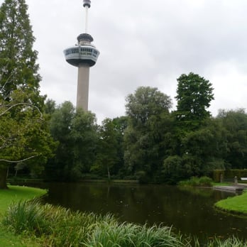 Park bij de Euromast - Mit Blick auf den Euromast - Local Flavor Near Me - Rotterdam, ZH
