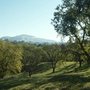 Lar Rieu Park