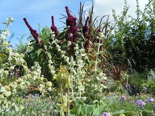 Domaine de Chaumont-sur-Loire by null