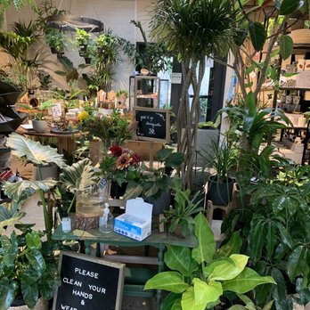 Vault + Vine - Inside - Flowers & Gifts Near Me - Philadelphia, Pennsylvania Vault + Vine - Inside - Flowers & Gifts Near Me - Philadelphia, Pennsylvania
