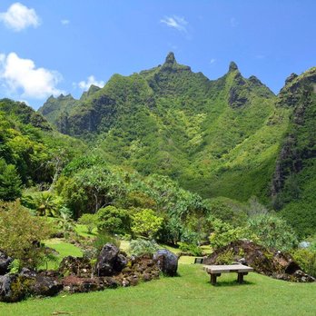 Nancy Jane Williams - Hawaii Life - Limahuli Gardens - part of Kauai's beauty! - Real Estate Agents Near Me - Hanalei, Hawaii Nancy Jane Williams - Hawaii Life - Limahuli Gardens - part of Kauai's beauty! - Real Estate Agents Near Me - Hanalei, Hawaii