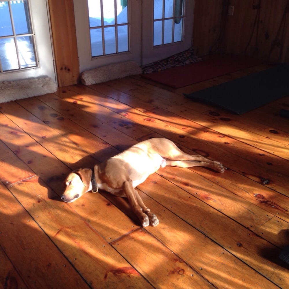 EAST SHORE YOGA STUDIO Updated September 2024 187 E Shore Rd