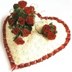 Harveys Flowers and Plants