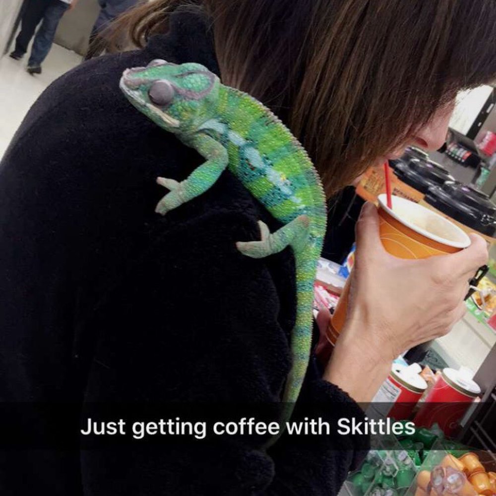 I take my chameleon there for the best coffee