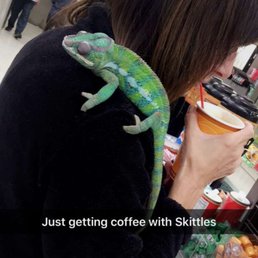 I take my chameleon there for the best coffee
