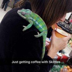 7-Eleven - I take my chameleon there for the best coffee