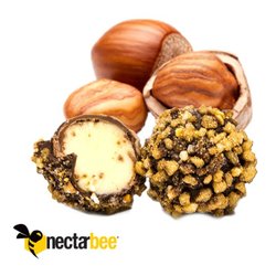 The Green Solution - Nectarbee Product
