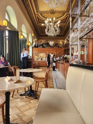 Café Savoy by null