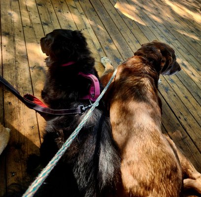 Buffalo Creek Brewing by null