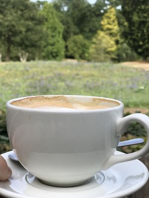 The Savill Garden by null