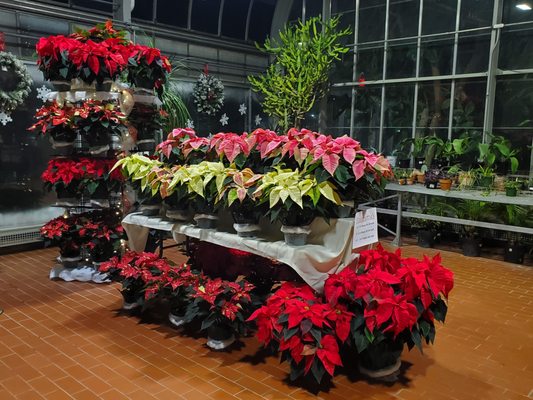 Potawatomi Conservatories