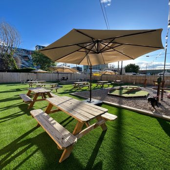 Big Dog Turf - Artificial Turf Near Me - Denver, Colorado Big Dog Turf - Artificial Turf Near Me - Denver, Colorado