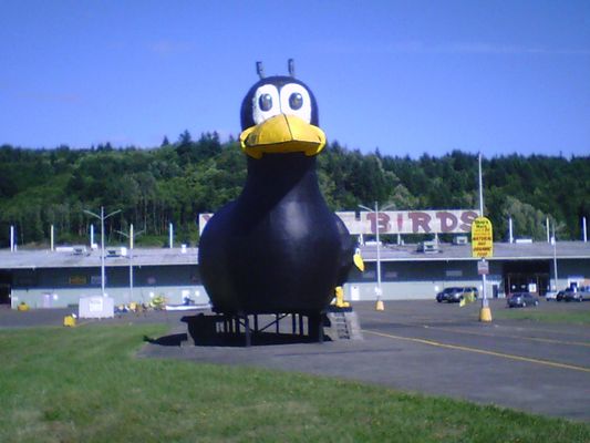 Yard Birds Mall & Storage by null