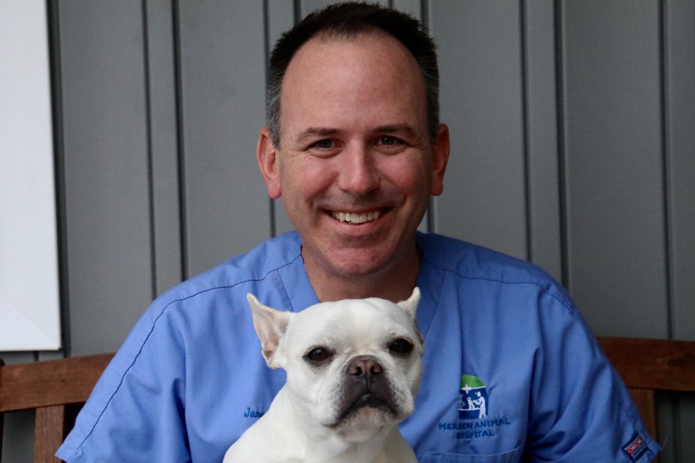 MERIDEN ANIMAL HOSPITAL 63 Photos & 37 Reviews 607 E Main St