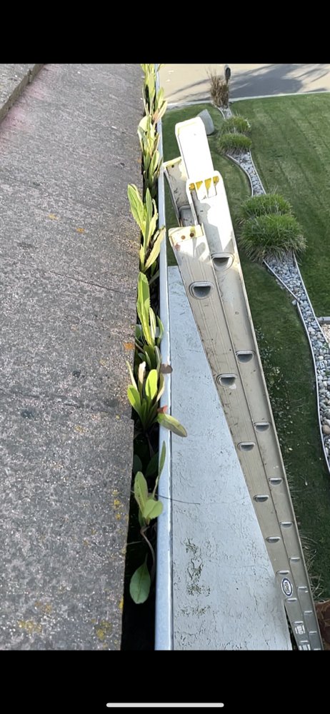 Slide of Frank Elevation Property Maintenance