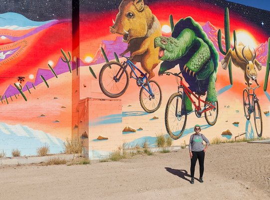 Tucson Bike Tours by null