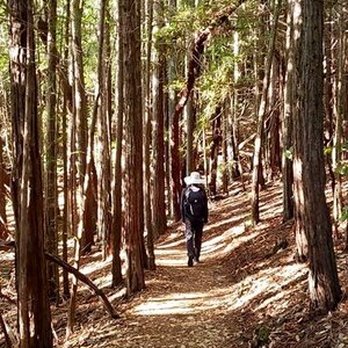 Mindful Nature Practice - Meditation Centers Near Me Mindful Nature Practice - Meditation Centers Near Me