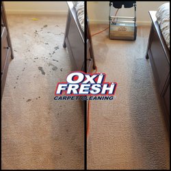 Oxi Fresh Carpet Cleaning