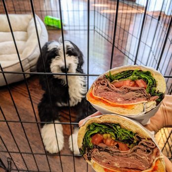 Limoncello - The Goodfella with spicy sauce $12.95 - yum! This doggo approves! - Sandwiches Near Me - San Francisco, California Limoncello - The Goodfella with spicy sauce $12.95 - yum! This doggo approves! - Sandwiches Near Me - San Francisco, California