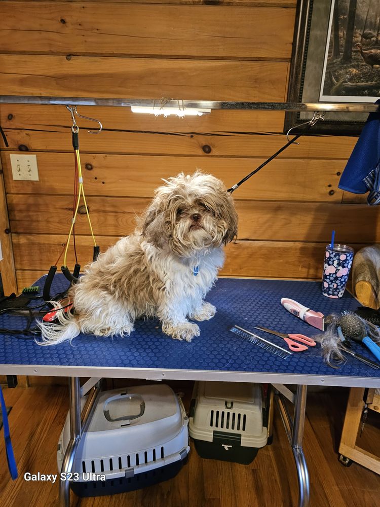 MINI BLESSINGS PET GROOMING Request an Appointment Chelsea