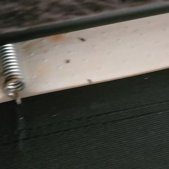 Mount Ridge Apartments - Mouse droppings found in my couch! - Apartments Near Me - Baltimore, Maryland Mount Ridge Apartments - Mouse droppings found in my couch! - Apartments Near Me - Baltimore, Maryland