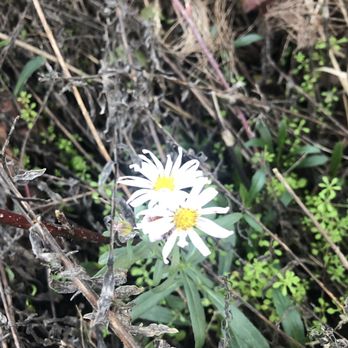 Tennessee Valley - Hiking Near Me - Mill Valley, California Tennessee Valley - Hiking Near Me - Mill Valley, California