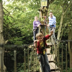 Go Ape Zipline & Adventure Park
