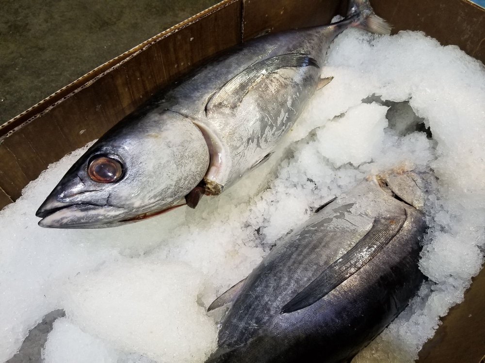 PACIFIC FRESH FISH 53 Photos & 48 Reviews Seafood Markets 700 E