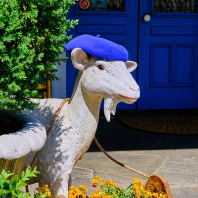 The French Goat by null