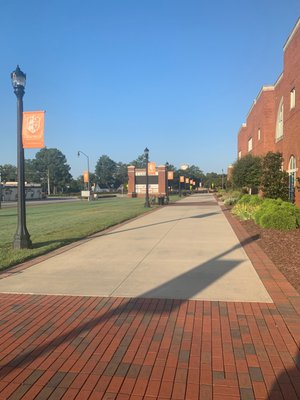 Campbell University by null