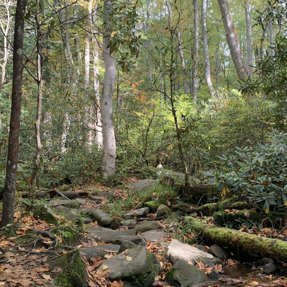 Noah Bud Ogle Cabin - Trail - Landmarks & Historical Buildings Near Me - Gatlinburg, Tennessee Noah Bud Ogle Cabin - Trail - Landmarks & Historical Buildings Near Me - Gatlinburg, Tennessee