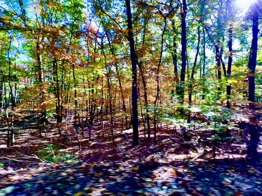 Sugarloaf Mountain by null