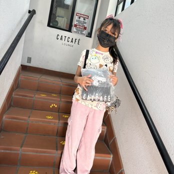 CatCafe Lounge - The stairs to go up the main entrance - Community Service/Non-Profit Near Me - Marina del Rey, California